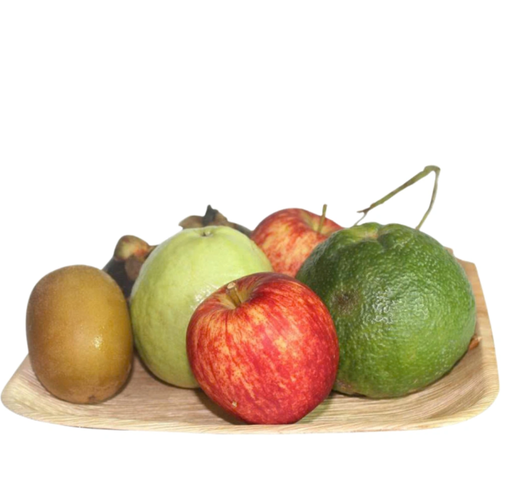 Eco-Friendly Square Areca Palm Leaf Plate (20x20cm) - Image 4